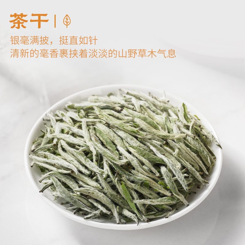 2026新茶福鼎白毫银针 特级明前毫香散茶